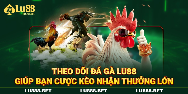 Theo dõi đá gà LU88 giúp bạn cược kèo nhận thưởng lớn