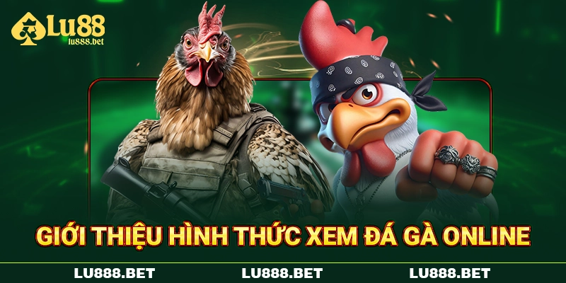 Giới thiệu hình thức xem đá gà online