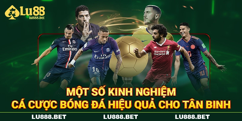 Một số kinh nghiệm cá cược bóng đá hiệu quả cho tân binh